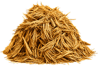 A pile of golden agricultural straw — the raw input for mycelium panels